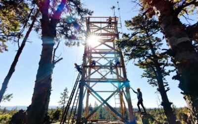 Construire une tour d’observation en bois