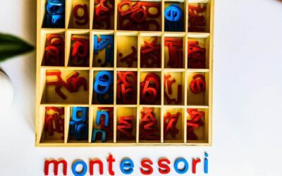 Comment adapter le soutien scolaire à la pédagogie Montessori ?