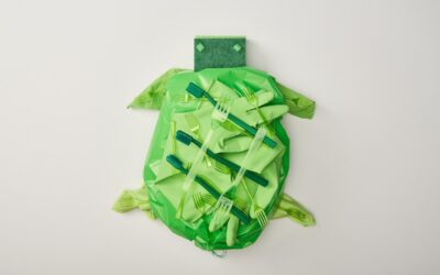 Tortue carton activité manuelle: tuto facile pour les 5 ans