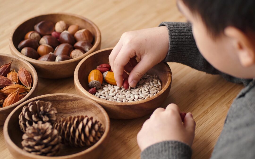 Jeu de tri de graines en automne