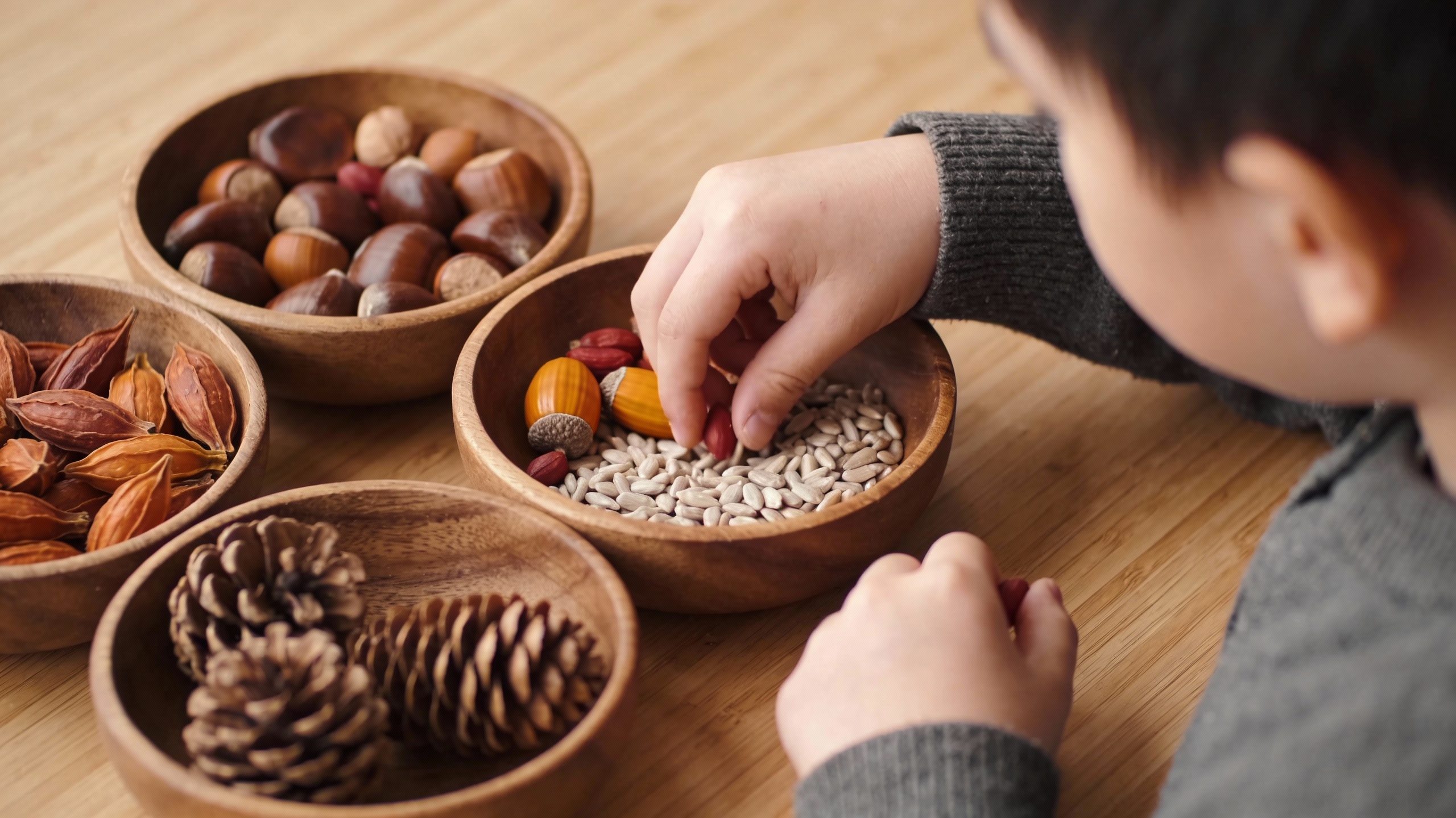 Tri de graines activité automne