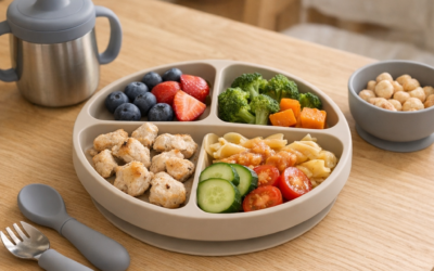 Assiette compartiments bébé : guide d’achat