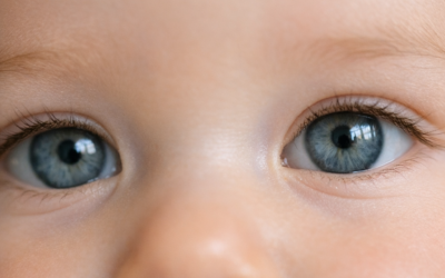 Bébés yeux bleus : évolution et couleur définitive