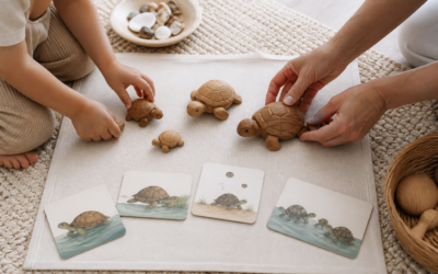 La famille tortue : paroles et gestes en maternelle