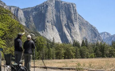 914 mètres à 7 ans : un père signalé à la protection de l’enfance après l’ascension d’El Capitan avec son fils